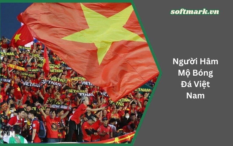 Người Hâm Mộ Bóng Đá Việt Nam